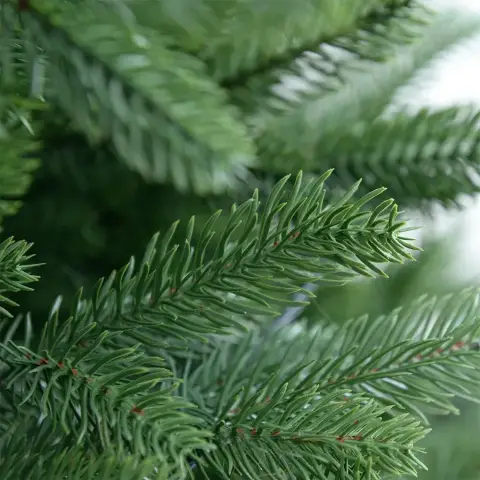 123947-mufenyo-forest-king-150cm-4.webp